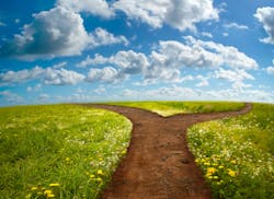 Forked Path Forked Path