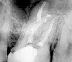 17nov2bcbuchanan P01 17nov2bcbuchanan P01