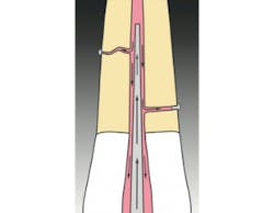 17nov2bcbuchanan P03 17nov2bcbuchanan P03