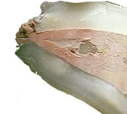 17nov2bcbuchanan P04b 17nov2bcbuchanan P04b