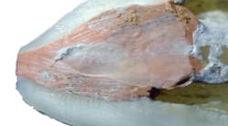 Content Dam Diq Online Articles 2017 11 17nov2bcbuchanan Thumb Content Dam Diq Online Articles 2017 11 17nov2bcbuchanan Thumb