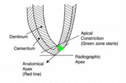 17dec7bcbestp02 17dec7bcbestp02