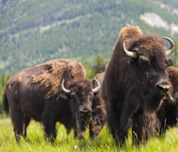 Content Dam Diq Online Articles 2017 12 Sspart6main Content Dam Diq Online Articles 2017 12 Sspart6main