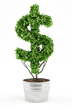 Improve Value Web Improve Value Web