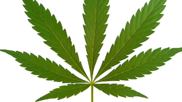 Content Dam Diq Online Articles 2018 01 Marijuana Leaf 1