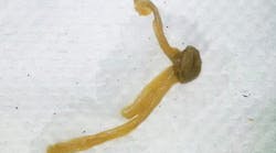 Content Dam Diq Online Articles 2018 01 Troubleshooter Water Line 1 Content Dam Diq Online Articles 2018 01 Troubleshooter Water Line 1