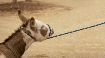 Content Dam Diq Online Articles 2018 04 Kupczyckthum42718