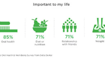 Delta Dental Plans Association Survey Infographic