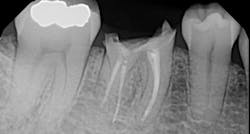 18may24bcmeek04 18may24bcmeek04