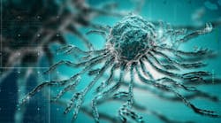 Content Dam Diq Online Articles 2018 05 Stem Cell Harwood Diqthumb Content Dam Diq Online Articles 2018 05 Stem Cell Harwood Diqthumb