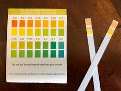 Whitney Ph Strips Whitney Ph Strips