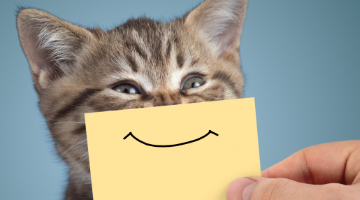 Content Dam Diq Article 2018 6 Happinessurveythumb