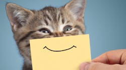 Content Dam Diq Article 2018 6 Happinessurveythumb Content Dam Diq Article 2018 6 Happinessurveythumb