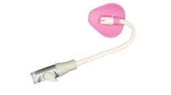 Content Dam Diq Online Articles 2018 07 Pink Petal Diqthumb Content Dam Diq Online Articles 2018 07 Pink Petal Diqthumb