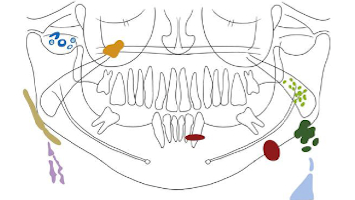 Content Dam Diq Online Articles 2018 08 18aug23bcpath37dxt