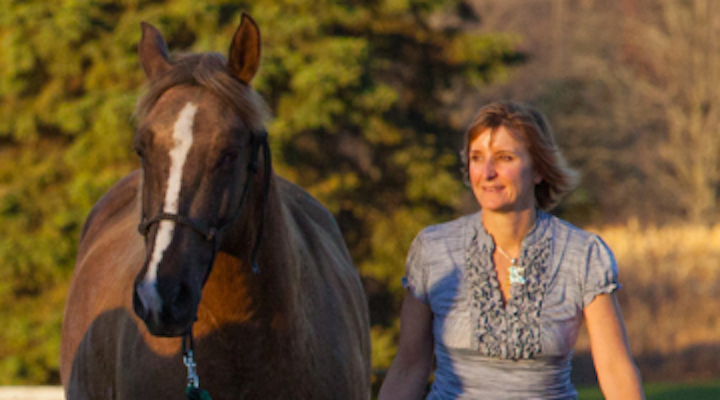 Content Dam Diq Online Articles 2018 08 Horse Therapy 1