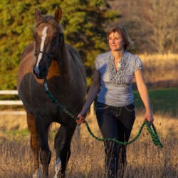 Horse Therapy Horse Therapy