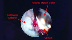 Content Dam Diq Online Articles 2018 09 Fortune Wedpnae Diqthumb Content Dam Diq Online Articles 2018 09 Fortune Wedpnae Diqthumb