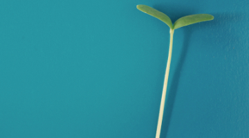 Content Dam Diq Online Articles 2018 09 Job Market Metro Sanchez Diqthumb