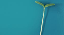 Content Dam Diq Online Articles 2018 09 Job Market Metro Sanchez Diqthumb Content Dam Diq Online Articles 2018 09 Job Market Metro Sanchez Diqthumb