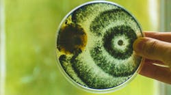 Content Dam Diq Online Articles 2018 09 Nagelberg39t Content Dam Diq Online Articles 2018 09 Nagelberg39t