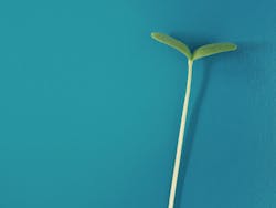 Job Market Metro Sanchez Job Market Metro Sanchez