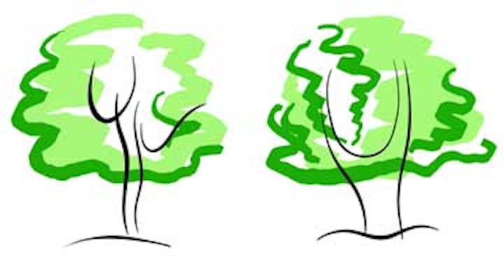Content Dam De Online Articles 2015 10 Nagelberg Blog1 Trees Dreamstime Article Thumbnail