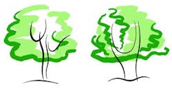 Content Dam De Online Articles 2015 10 Nagelberg Blog1 Trees Dreamstime Article Thumbnail Content Dam De Online Articles 2015 10 Nagelberg Blog1 Trees Dreamstime Article Thumbnail