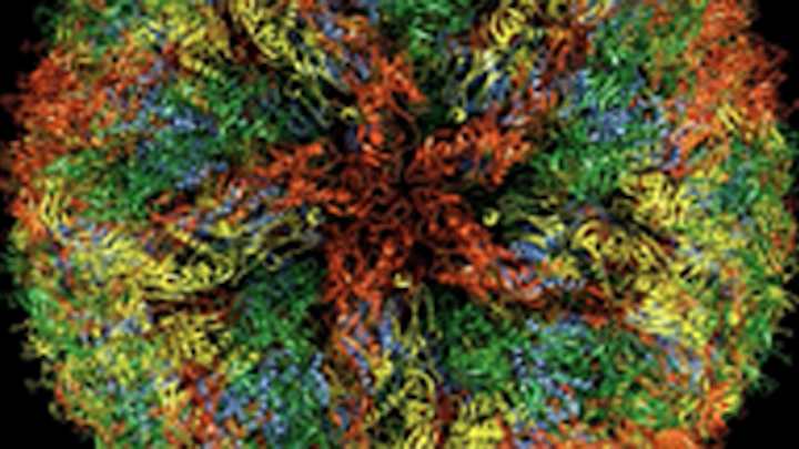 Content Dam De Print Articles Volume 106 Issue 5 Zika Virus Colors Tmb