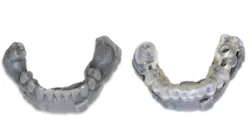 Content Dam Diq Online Articles 2017 01 3 Dprint Form2 Diqthumb