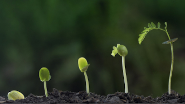 Content Dam Diq Online Articles 2019 01 Personal Growth Whiteley Diqthumb