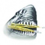 Content Dam Etc Medialib Platform 7 Dentistryiq2 Articles Online Articles 2010 Images 97700