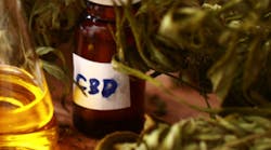 Content Dam Diq Online Articles 2019 02 Cbd Oil Tn Content Dam Diq Online Articles 2019 02 Cbd Oil Tn