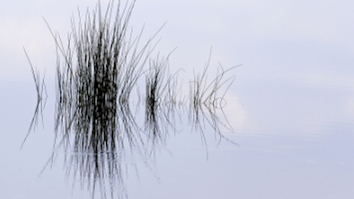 Content Dam Diq Online Articles 2019 02 Pausing Reflection Diqthumb