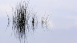 Content Dam Diq Online Articles 2019 02 Pausing Reflection Diqthumb Content Dam Diq Online Articles 2019 02 Pausing Reflection Diqthumb