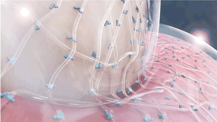 triclosan molecule