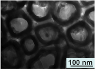 Nasseo nanotube implant technology