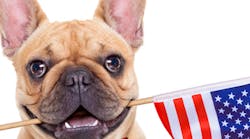 Content Dam Diq En Articles 2016 11 10 Election Day Social Post Ideas For Dental Practices Leftcolumn Article Thumbnailimage File Content Dam Diq En Articles 2016 11 10 Election Day Social Post Ideas For Dental Practices Leftcolumn Article Thumbnailimage File