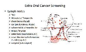 Content Dam Diq En Articles Slideshows 2014 11 Dental Photo Of The Day 02 Leftcolumn Article Thumbnailimage File