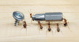 Content Dam Diq En Articles Slideshows 2014 11 Dental Photo Of The Day 08 Leftcolumn Article Thumbnailimage File