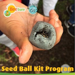 Timeline 2019 3 Seed Ball Kit
