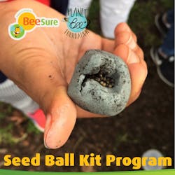 Timeline 2019 3 Seed Ball Kit Timeline 2019 3 Seed Ball Kit