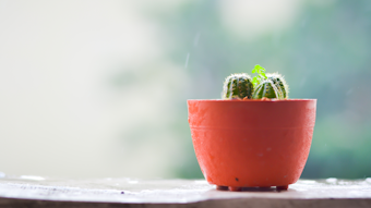 3m Launches New Xerostomia Relief Spray Dentistryiq