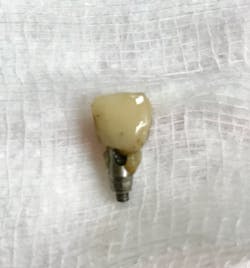 19 Jul25 B Cedblog03 19 Jul25 B Cedblog03