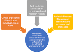 The elements of evidence-based care provide a natural foundation for professional socialization and growth.