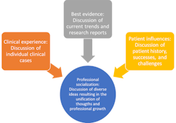 The elements of evidence-based care provide a natural foundation for professional socialization and growth. The elements of evidence-based care provide a natural foundation for professional socialization and growth.