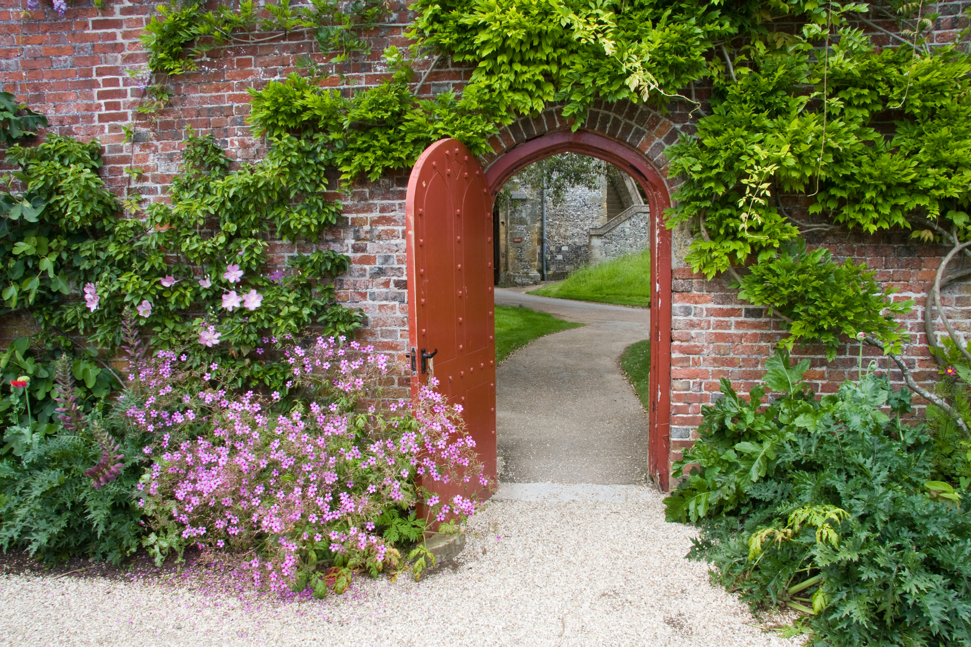 Whiteley Transition 5d5d7db1209d0