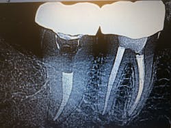 19 Sept26 B Crosenwald02 5d852462dea4e 19 Sept26 B Crosenwald02 5d852462dea4e