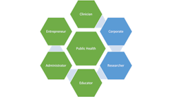 Figure 1: Professional roles of dental hygienists Figure 1: Professional roles of dental hygienists