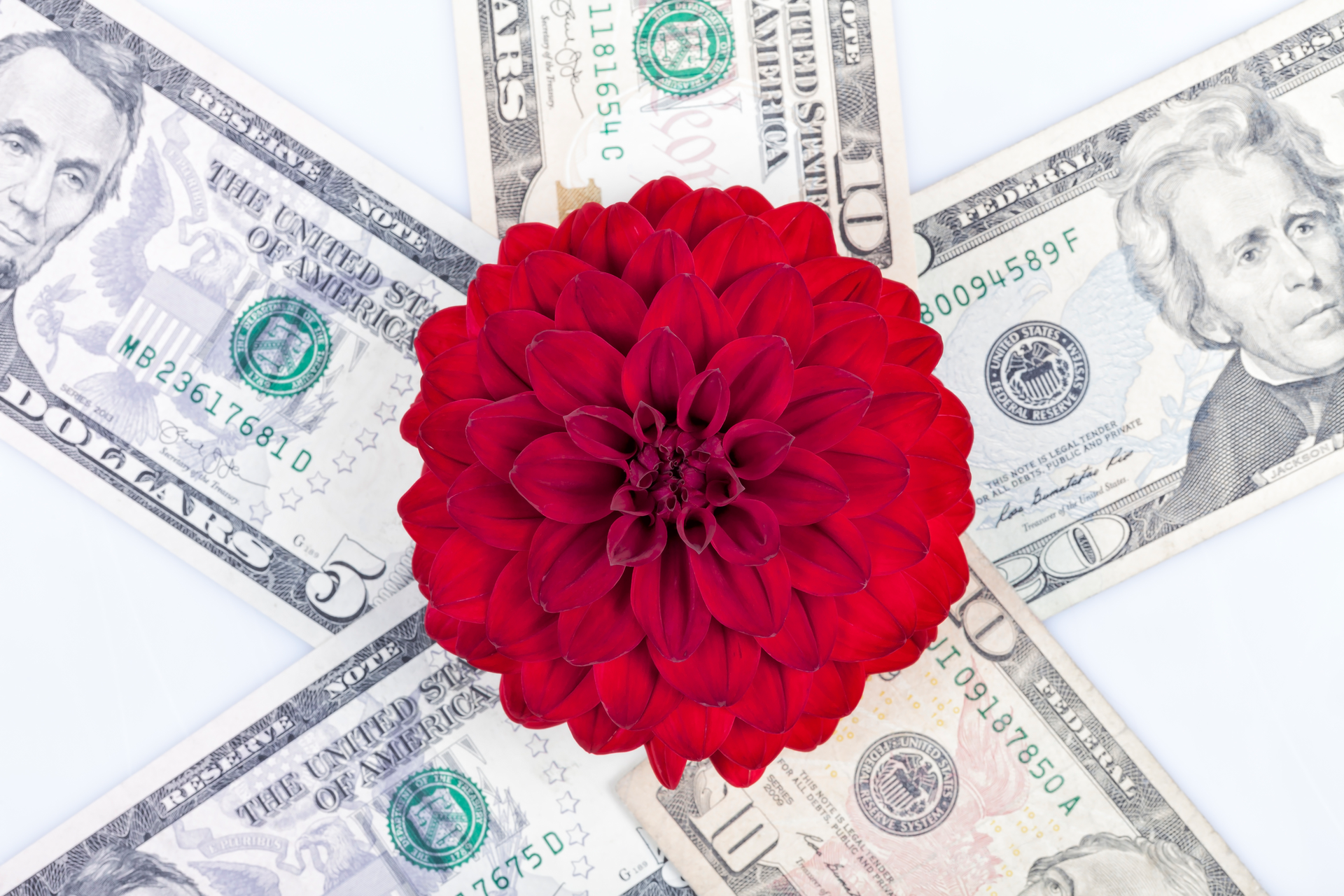 Dreamstime M 135068525 5d714e31b0d70